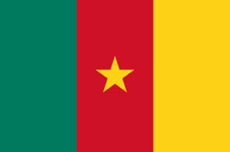 The flag of Cameroon is composed of three equal vertical bands of green, red and yellow, with a yellow five-pointed star in the center.